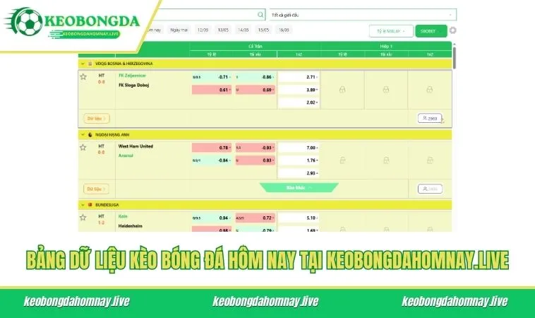 Bảng dữ liệu kèo bóng đá hôm nay tại keobongdahomnay.live