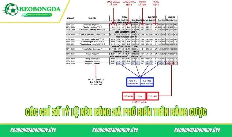 Các chỉ số tỷ lệ kèo bóng đá phổ biến trên bảng cược