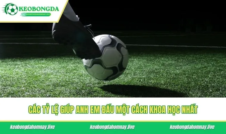 Các tỷ lệ giúp anh em đấu một cách khoa học nhất