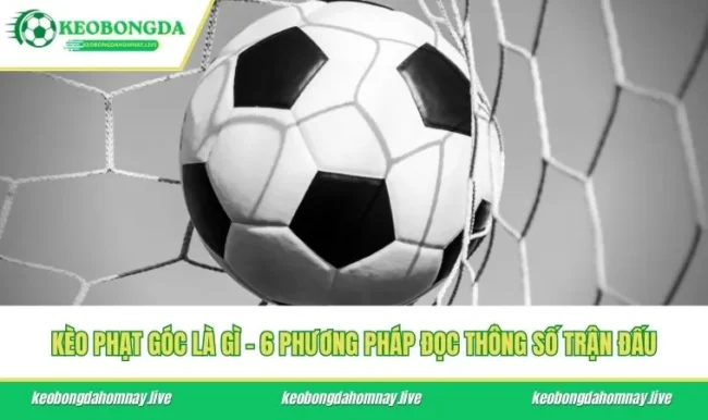 Kèo Phạt Góc Là Gì - 6 Phương Pháp Đọc Thông Số Trận Đấu