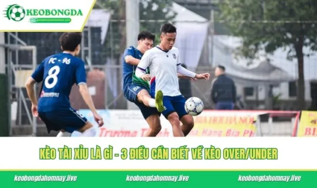 Kèo Tài Xỉu Là Gì - 3 Điều Cần Biết Về Kèo Over/Under
