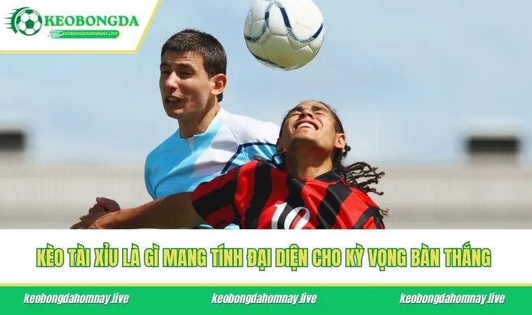 Kèo tài xỉu là gì mang tính đại diện cho kỳ vọng bàn thắng 