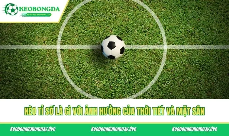 Kèo tỉ số là gì với ảnh hưởng của thời tiết và mặt sân