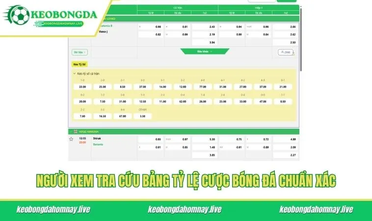 Người xem tra cứu bảng tỷ lệ cược bóng đá chuẩn xác