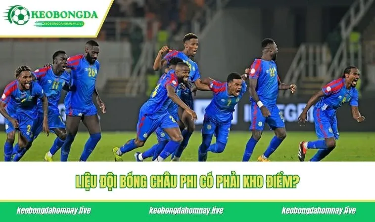Liệu đội bóng châu Phi có phải kho điểm?