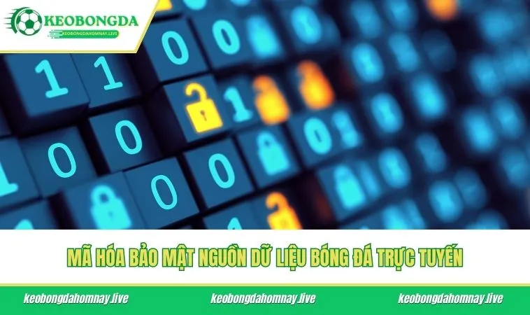 Mã hóa bảo mật nguồn dữ liệu bóng đá trực tuyến