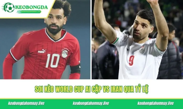 Soi kèo World Cup Ai Cập vs Iran qua tỷ lệ