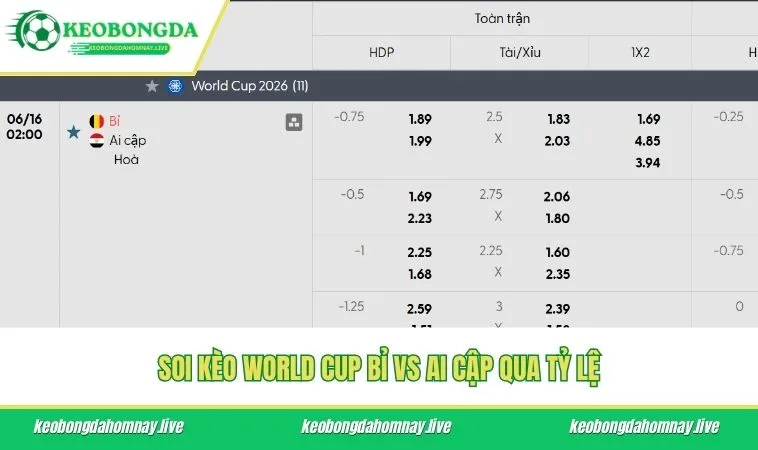 Soi kèo World Cup Bỉ vs Ai Cập qua tỷ lệ