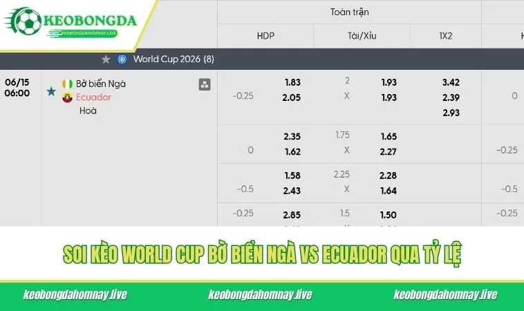 Cuộc đọ sức giữa các cái tên khu vực trung tuyến