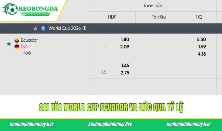 Soi kèo World Cup Ecuador vs Đức qua tỷ lệ
