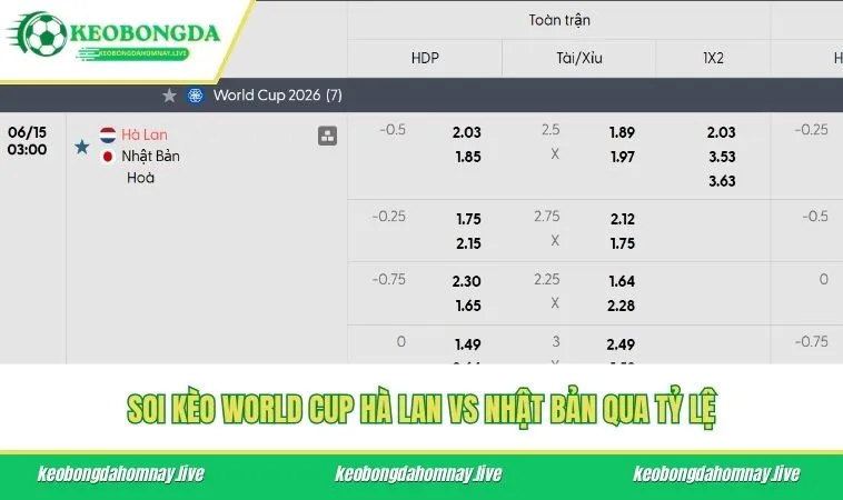 Soi kèo World Cup Hà Lan vs Nhật Bản qua tỷ lệ