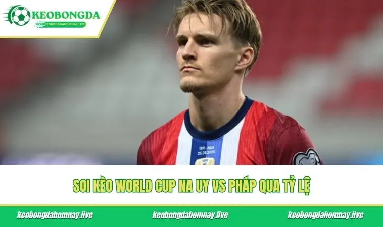 Soi kèo World Cup Na Uy vs Pháp qua tỷ lệ