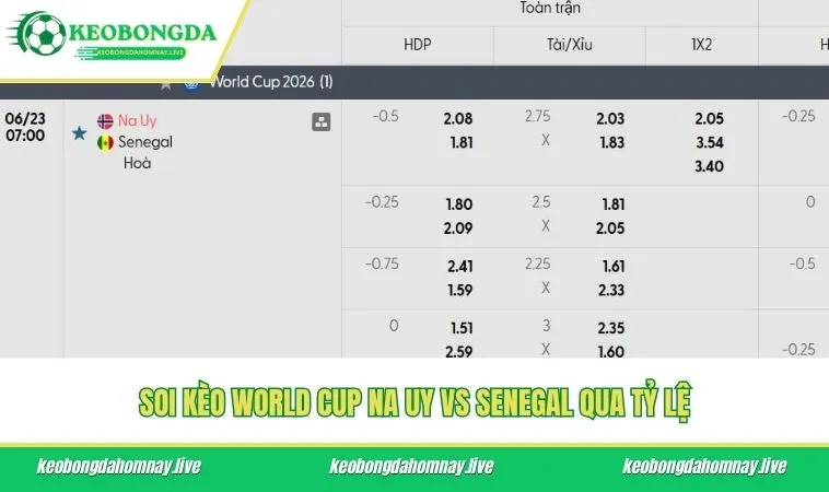 Soi kèo World Cup Na Uy vs Senegal qua tỷ lệ