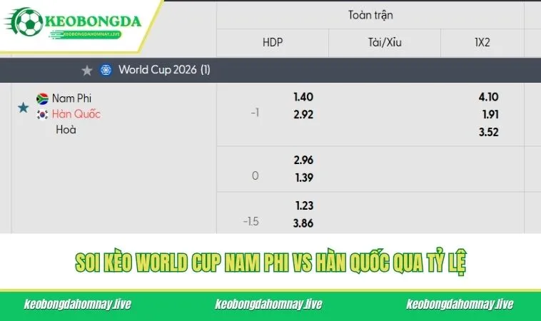 Soi kèo World Cup Nam Phi vs Hàn Quốc qua tỷ lệ