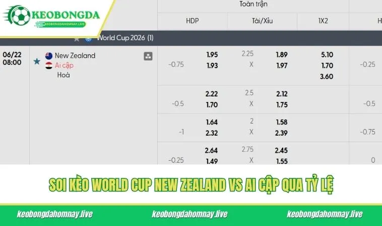 Soi kèo World Cup New Zealand vs Ai Cập qua tỷ lệ