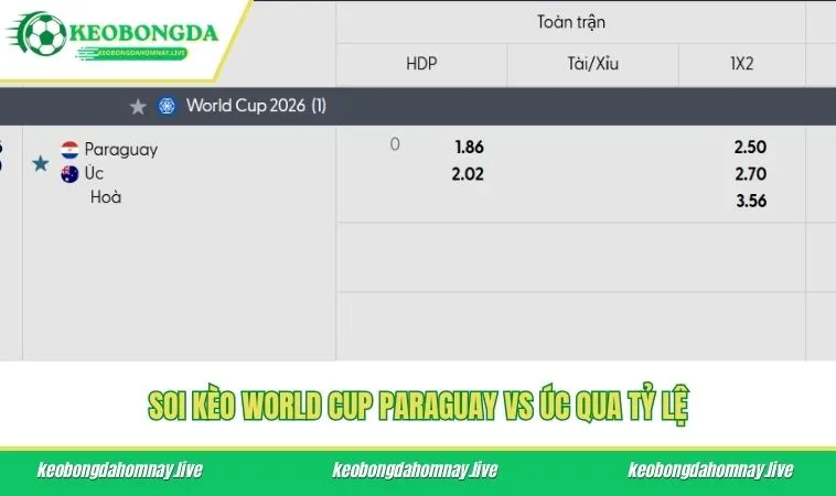 Soi kèo World Cup Paraguay vs Úc qua tỷ lệ
