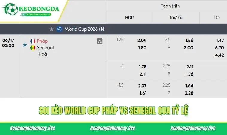 Soi kèo World Cup Pháp vs Senegal qua tỷ lệ