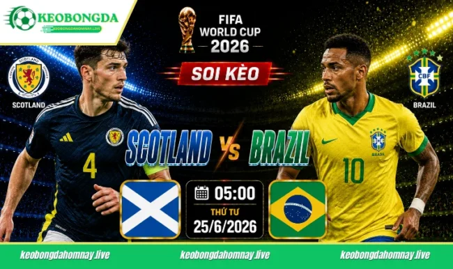 Soi kèo World Cup Scotland vs Brazil, 05h00 ngày 25/6/2026