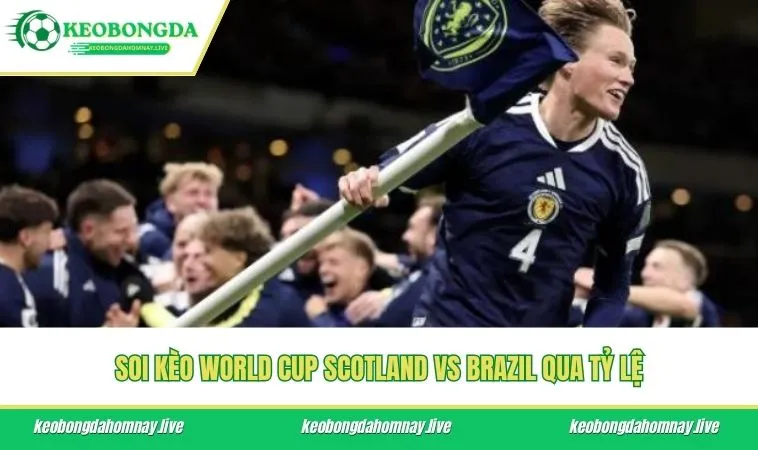 Soi kèo World Cup Scotland vs Brazil qua tỷ lệ