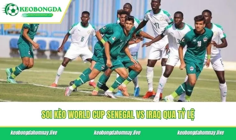 Soi kèo World Cup Senegal vs Iraq qua tỷ lệ
