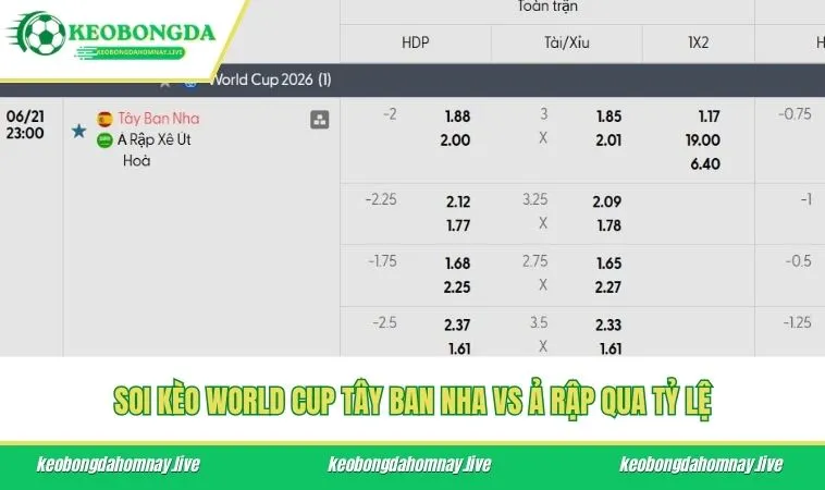 Soi kèo World Cup Tây Ban Nha vs Ả Rập qua tỷ lệ