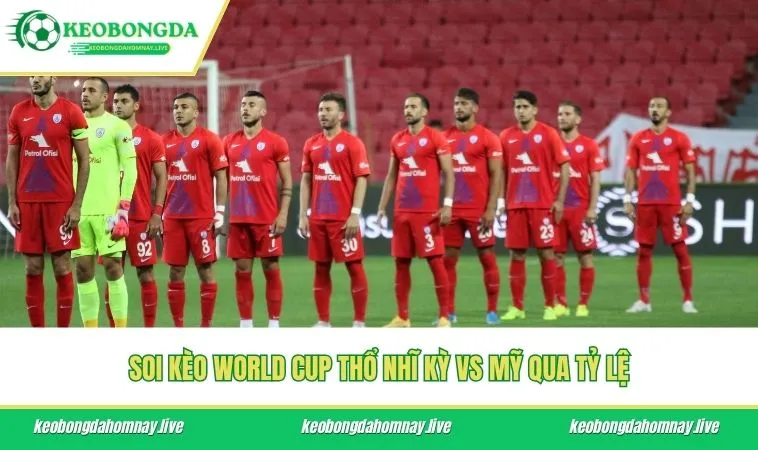 Soi kèo World Cup Thổ Nhĩ Kỳ vs Mỹ qua tỷ lệ