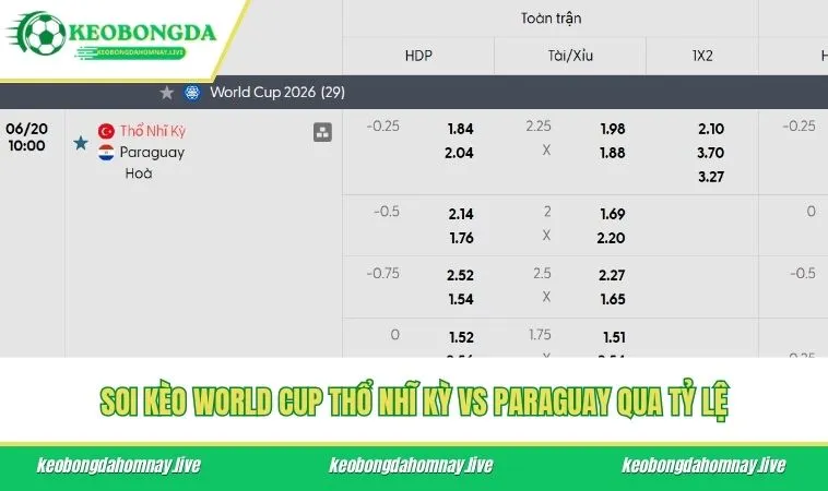 Soi kèo World Cup Thổ Nhĩ Kỳ vs Paraguay qua tỷ lệ