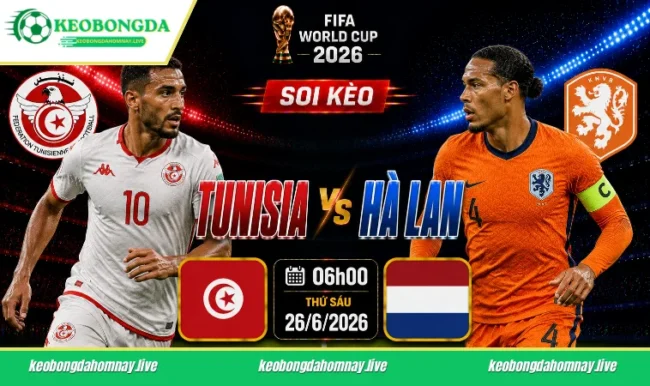 Soi kèo World Cup Tunisia vs Hà Lan, 06h00 ngày 26/6/2026