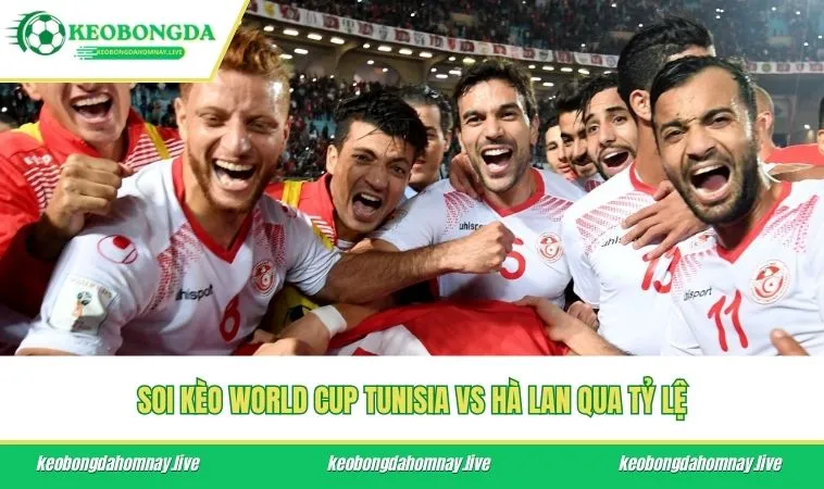 Soi kèo World Cup Tunisia vs Hà Lan qua tỷ lệ