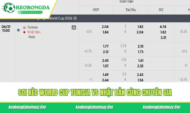 Soi kèo World Cup Tunisia vs Nhật Bản qua tỷ lệ