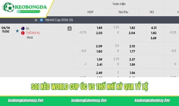 Soi kèo World Cup Úc vs Thổ Nhĩ Kỳ qua tỷ lệ