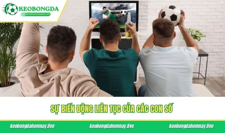 Sự biến động liên tục của các con số 